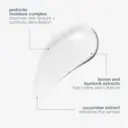 Dermalogica Active Moist 50mL