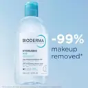 Bioderma Hydrabio H2O Hydrating Micellar Water Cleanser 250ml