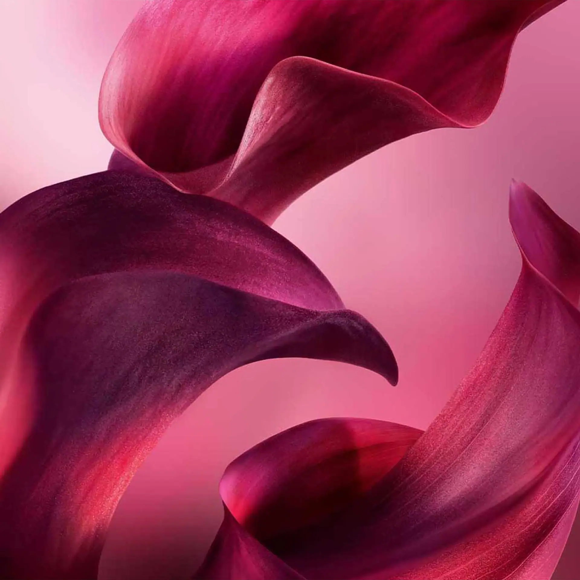 Lancôme La Vie Est Belle L'Elixir Very Cherry EDP 50ml