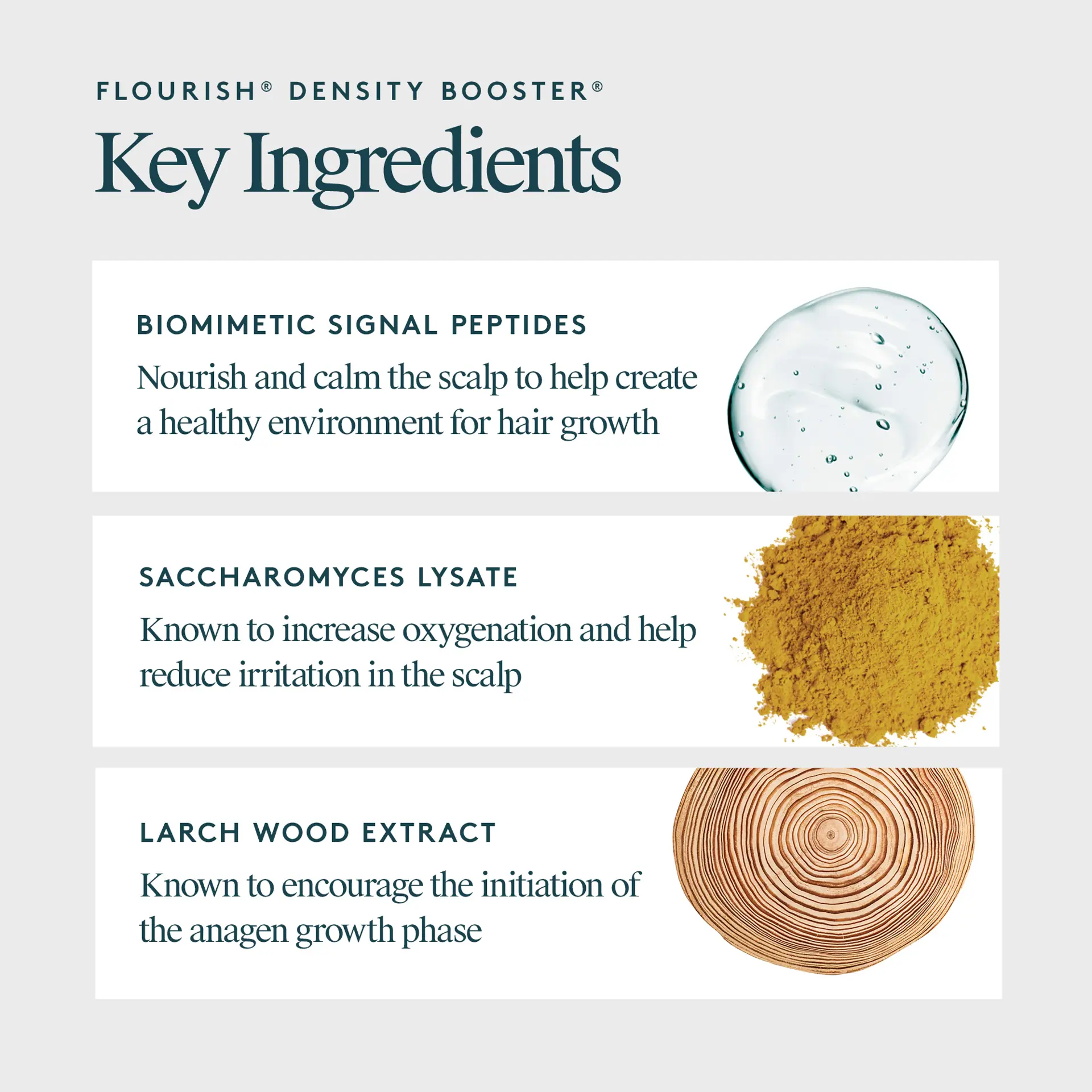 Virtue Flourish Duo Bundle