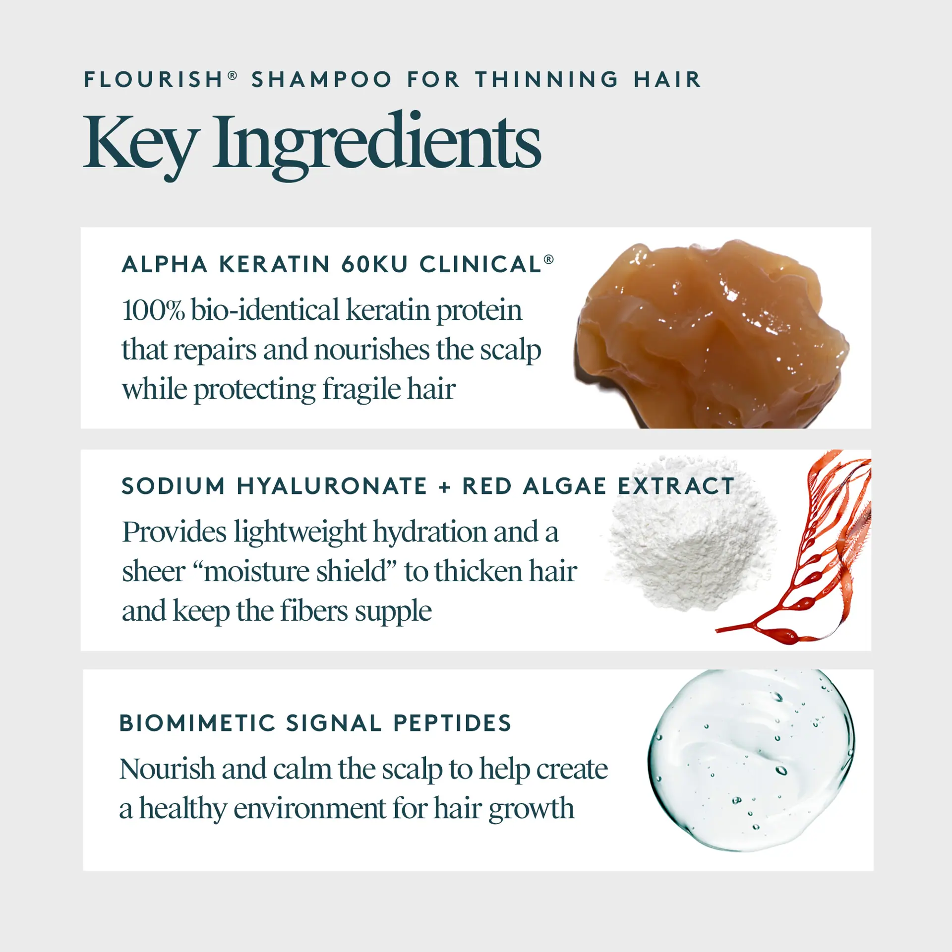 Virtue Flourish Duo Bundle